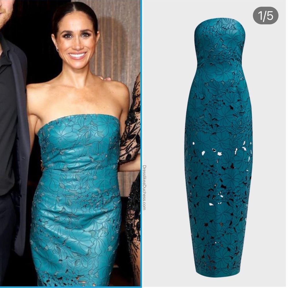 Price Firm Cult Gaia Raylene Strapless Cutout Embroidered Gown Size 10